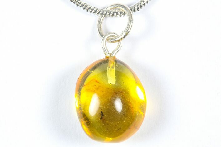 Polished Baltic Amber Pendant (Necklace) - Contains Wasp! #368998